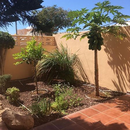 Independiente Estudio En Acogedora Casita De Mai Costa Adeje  Buitenkant foto