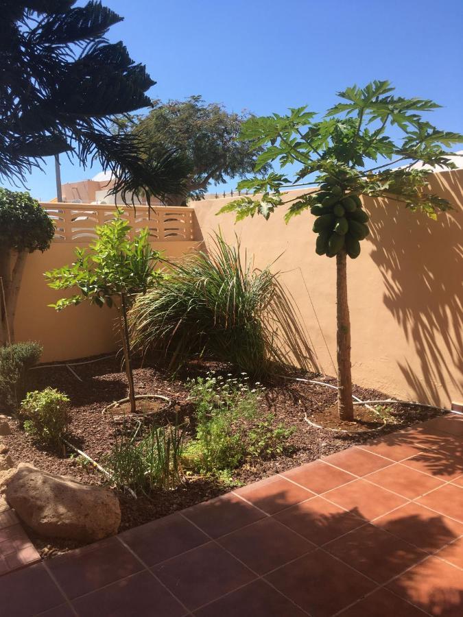 Independiente Estudio En Acogedora Casita De Mai Costa Adeje  Buitenkant foto